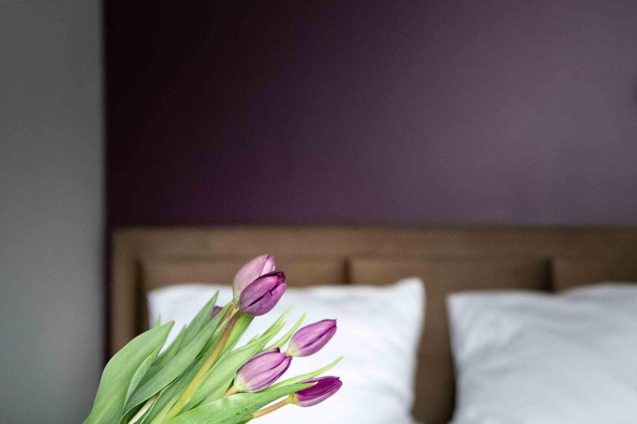 4Wings Apartments Kraków Zewnętrze zdjęcie